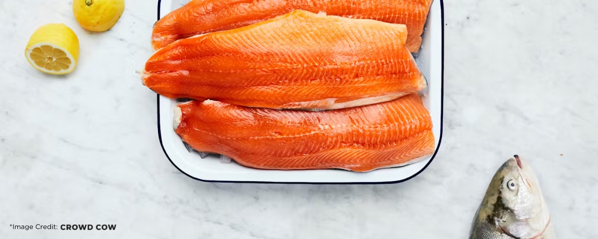 Arctic char fillets